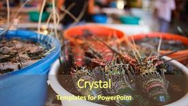  Presentation with boracay - Theme with boracay island in philippines background and a tawny brown colored foreground