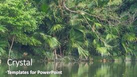  Presentation with waterland - Presentation theme having borassus-flabellifer-sugar-palm background and a ocean colored foreground