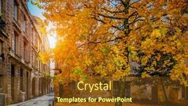  Presentation with autumn - Amazing slide deck having bordeaux-city-in-autumn-france backdrop and a tawny brown colored foreground
