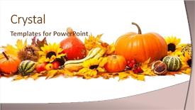  Presentation with dry - Slides enhanced with border - autumn decoration arranged with dry background and a cream colored foreground