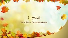  Presentation with falling leaves - Presentation having border - autumn falling maple leaves isolated background and a cream colored foreground