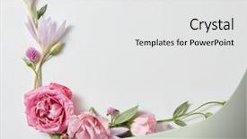  Presentation with frame border - Slide set with border - beautiful roses frame background and a white colored foreground