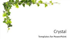  Presentation with frame border - Slide deck with border - frame of ivy -fresh ivy background and a white colored foreground