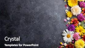  Presentation with flowers border - Presentation theme featuring border - garden flowers over stone table background and a dark gray colored foreground