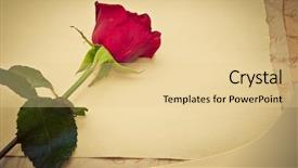  Presentation with vintage rose old paper - Beautiful presentation theme featuring border books - vintage old paper background backdrop and a lemonade colored foreground