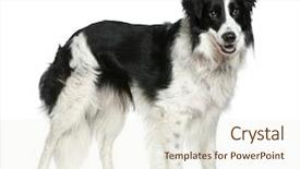  Presentation with border - Theme featuring little model of a vintage interior made of sheets of paper background and a sky blue colored foreground.