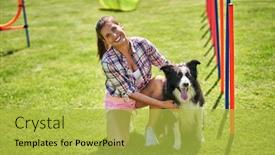  Presentation with agility - Presentation theme consisting of border-collie-dog background and a yellow colored foreground