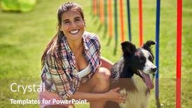  Presentation with agility - Audience pleasing presentation consisting of border-collie-dog backdrop and a tawny brown colored foreground
