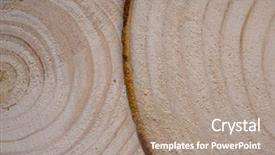  Presentation with cross border - PPT theme enhanced with pine tree trunk cross-section background and a coral colored foreground