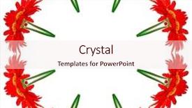  Presentation with floral abstract - Presentation design featuring border frame floral abstract pattern background and a  colored foreground