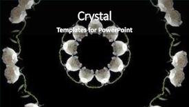  Presentation with floral abstract - Slides featuring border frame floral abstract pattern of beautiful white rose isolated on black background background and a black colored foreground