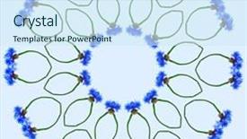  Presentation with blue floral - Amazing presentation design having cornflower on blue background backdrop and a cool aqua colored foreground