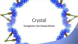  Presentation with floral abstract - Beautiful presentation design featuring pattern isolated on white background backdrop and a white colored foreground