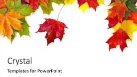  Presentation with frame border - Theme having border frame of colored falling background and a white colored foreground