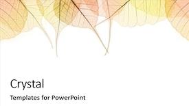  Presentation with fall leaves border autumn - PPT layouts with border of autumn color leaves background and a white colored foreground