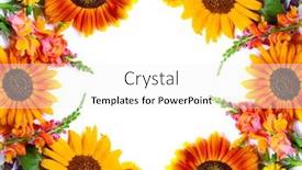  Presentation with flowers border - Cool new presentation theme with border-of-autumn-flowers backdrop and a white colored foreground