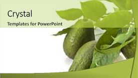  Presentation with avocado - Audience pleasing PPT theme consisting of border of avocado fruits backdrop and a yellow colored foreground