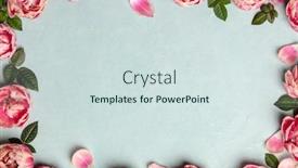  Presentation with border pink - Beautiful theme featuring border-of-beautiful-pink-tulips backdrop and a sky blue colored foreground