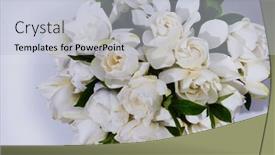  Presentation with border - Cool new PPT theme with border-of-bunch-of-white backdrop and a lemonade colored foreground