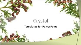  Presentation with cedar - Amazing PPT layouts having border-of-cedar-cypress-leyland backdrop and a white colored foreground