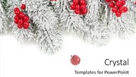  Presentation with frost border on ice christmas - Colorful presentation enhanced with border of christmas fir branch backdrop and a  colored foreground