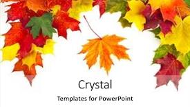  Presentation with note - PPT theme with border of colored falling leafs background and a white colored foreground
