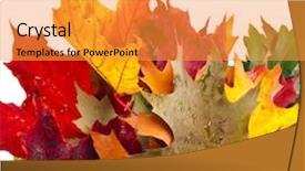  Presentation with color border bottom - Presentation design consisting of border of colored falling leafs background and a gold colored foreground