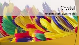  Presentation with border - Beautiful PPT layouts featuring border of different colored feathers backdrop and a sky blue colored foreground