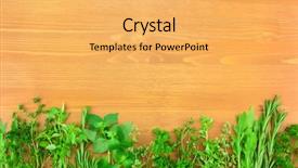  Presentation with herb - Colorful PPT theme enhanced with border of fresh herbs collection backdrop and a yellow colored foreground