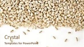 Presentation with pearl - Beautiful presentation theme featuring border of pearl barley surface backdrop and a  colored foreground
