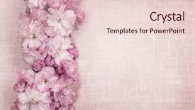  Presentation with border pink - PPT theme enhanced with border of pink cherry blossoms row with linen background background and a lemonade colored foreground