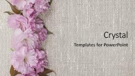  Presentation with border pink - Amazing slide set having border of pink cherry blossoms row on natural rustic linen background backdrop and a light gray colored foreground