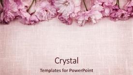  Presentation with border pink - Audience pleasing PPT theme consisting of border of pink cherry blossoms row with linen background backdrop and a lemonade colored foreground