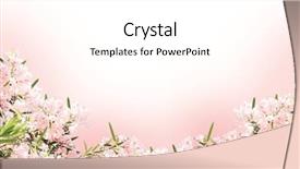  Presentation with border pink - Colorful theme enhanced with painting watercolor paint on white paper photos in the studio backdrop and a mint green colored foreground