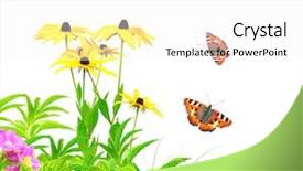  Presentation with chemistry leaves green leaf - Cool new PPT theme with border spring - summer flowers green leaves backdrop and a white colored foreground