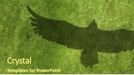  Presentation with abstract spring green - PPT theme consisting of border spring bird - green grass abstract background and a tawny brown colored foreground