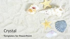  Presentation with shells - Audience pleasing PPT theme consisting of border travel - shells on the beach sand backdrop and a white colored foreground