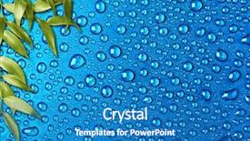  Presentation with blue water - Slides having border tree - green leaves on the blue background and a teal colored foreground