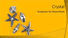  Presentation with sea - Cool new slide set with bottom borders - group of sea conches backdrop and a  colored foreground