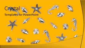  Presentation with sea - Colorful presentation theme enhanced with bottom borders - group of sea conches backdrop and a  colored foreground