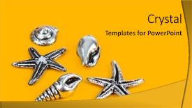  Presentation with sea - Amazing presentation design having bottom borders - group of sea conches backdrop and a  colored foreground