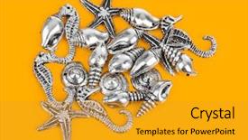  Presentation with sea - Slide set featuring bottom borders - group of sea conches background and a  colored foreground