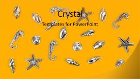  Presentation with sea and beach - Theme consisting of bottom borders - group of sea conches background and a  colored foreground