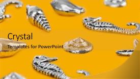  Presentation with sea - Slides having bottom borders - group of sea conches background and a  colored foreground