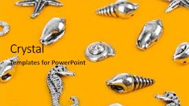  Presentation with sea - Slides with bottom borders - group of sea conches background and a  colored foreground