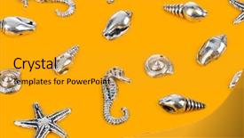  Presentation with sea and beach - Presentation having bottom borders - group of sea conches background and a  colored foreground