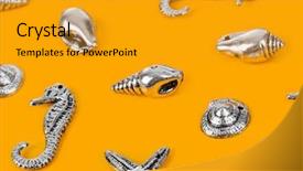  Presentation with sea - PPT layouts featuring bottom borders - group of sea conches background and a  colored foreground