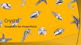  Presentation with sea and beach - PPT layouts consisting of bottom borders - group of sea conches background and a  colored foreground