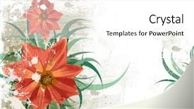  Presentation with floral pearls - Beautiful slide deck featuring borders accents - grunge floral background see similar backdrop and a white colored foreground