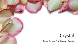  Presentation with rose petal corner frame - PPT theme having borders accents - rose petal corner frame background and a white colored foreground
